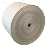 Food Grade Raw Material PE Coated Paper Roll For Paper Cup Paper