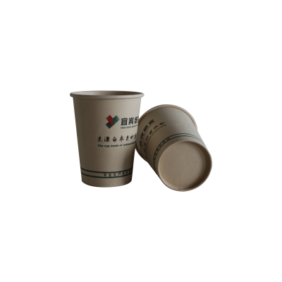 Hot sell 16 oz 12oz Biodegradable PE Coated Disposable Coffee Paper Cup for Drink